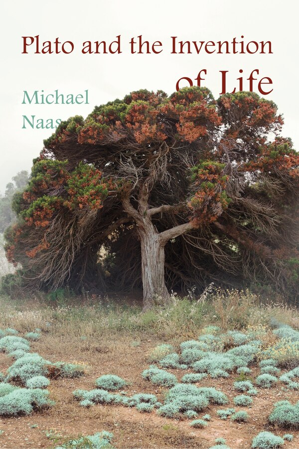 Plato And The Invention Of Life by Michael Naas, Hardcover | Indigo Chapters