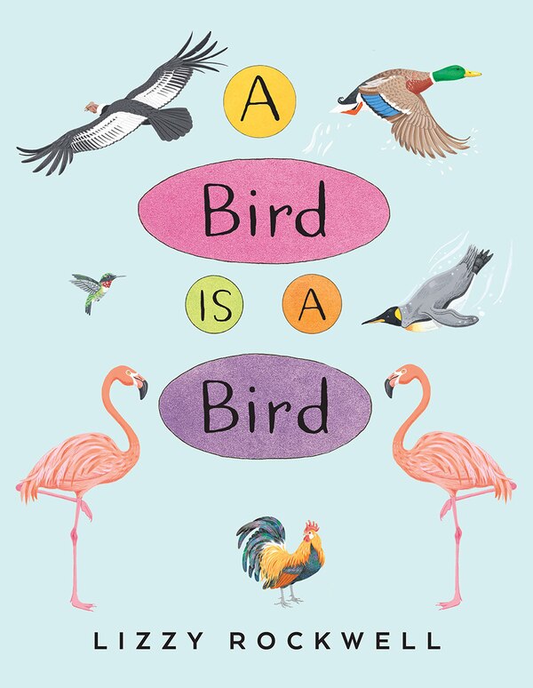 A Bird Is A Bird by Lizzy Rockwell, Paperback | Indigo Chapters