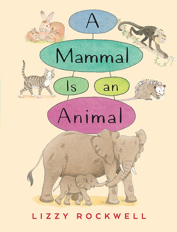 A Mammal Is An Animal by Lizzy Rockwell, Paperback | Indigo Chapters