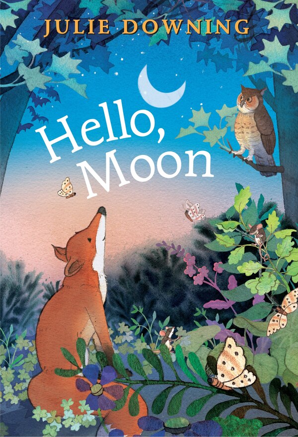 Hello Moon by Julie Downing, Hardcover | Indigo Chapters