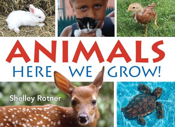 Animals by Shelley Rotner, Paperback | Indigo Chapters