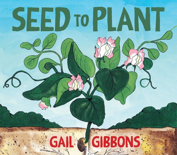 Seed To Plant by Gail Gibbons, Board Book | Indigo Chapters