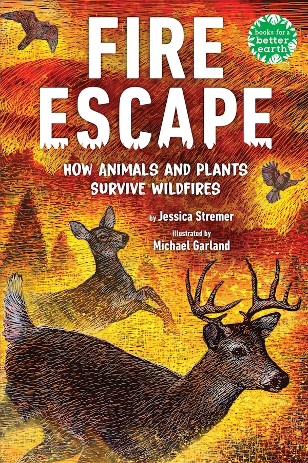 Fire Escape by Jessica Stremer, Paperback | Indigo Chapters