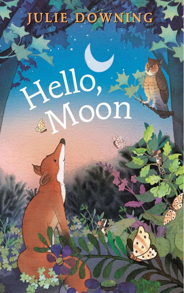 Hello Moon by Julie Downing, Board Book | Indigo Chapters