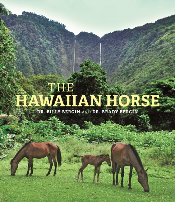 The Hawaiian Horse by Billy Bergin, Hardcover | Indigo Chapters