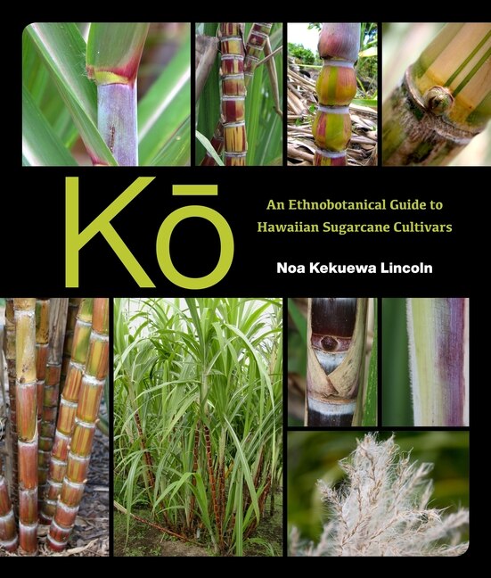 Kō by Noa Kekuewa Lincoln, Paperback | Indigo Chapters