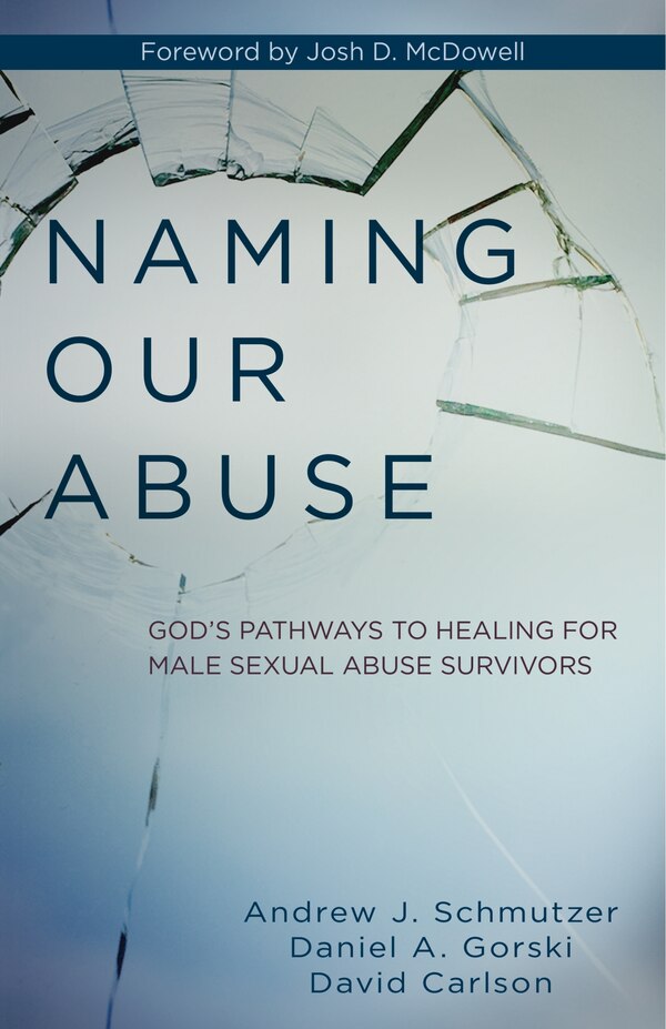 NAMING OUR ABUSE by Andrew Schmutzer, Paperback | Indigo Chapters