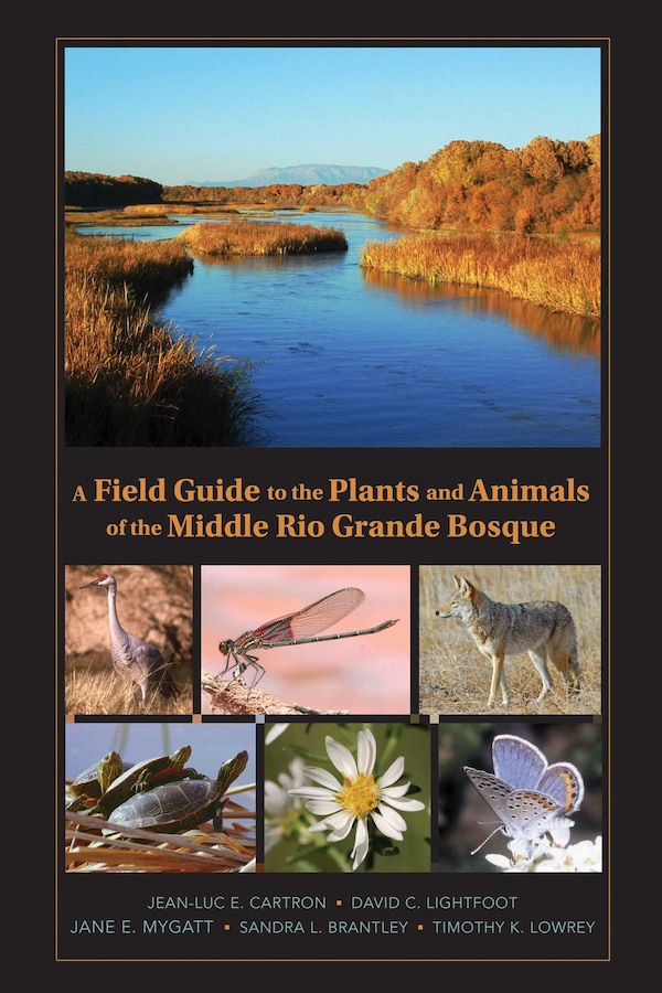 A Field Guide to the Plants and Animals of the Middle Rio Grande Bosque by Jean-Luc E. Cartron, Paperback | Indigo Chapters