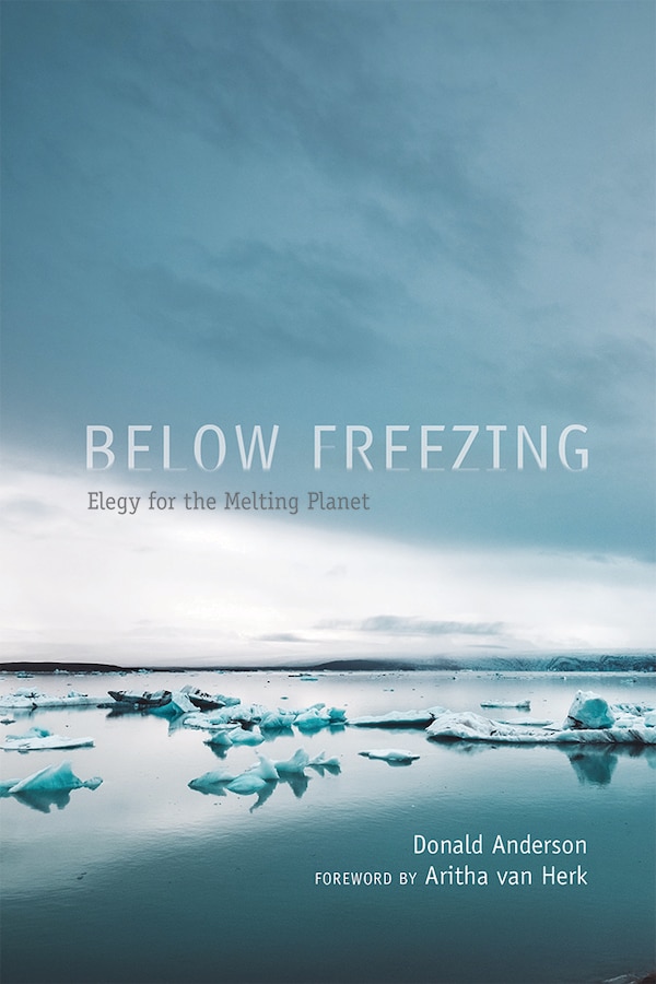 Below Freezing by Donald Anderson, Paperback | Indigo Chapters