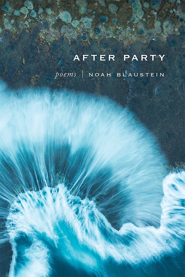 After Party by Noah Blaustein, Paperback | Indigo Chapters