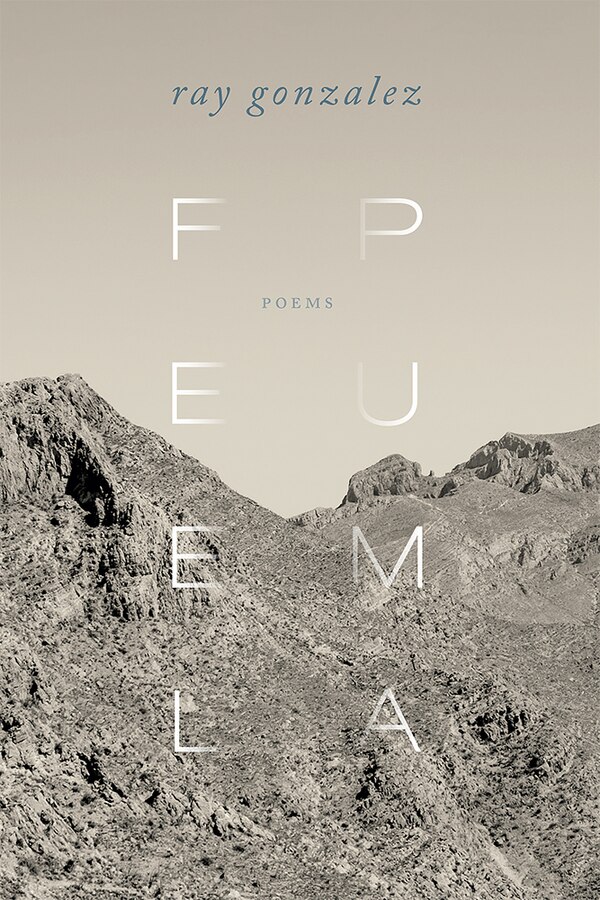 Feel Puma by Ray Gonzalez, Paperback | Indigo Chapters