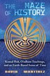 The Maze of History by David Martínez, Hardcover | Indigo Chapters