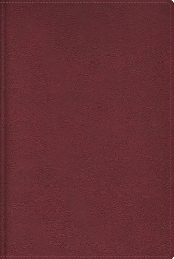 RVR Biblia de estudio trasfondo cultural (El contexto lo cambia todo) Leathersoft Rojo vino Interior a color Comfort Print by Vida