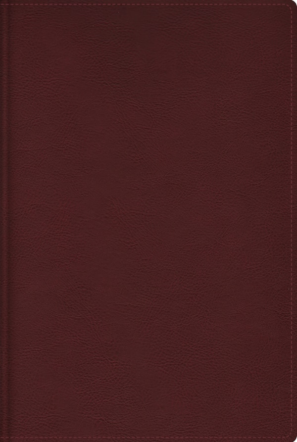 RVR Biblia de estudio trasfondo cultural (El contexto lo cambia todo) Leathersoft Rojo vino Interior a color con Índice Comfort Print by Vida
