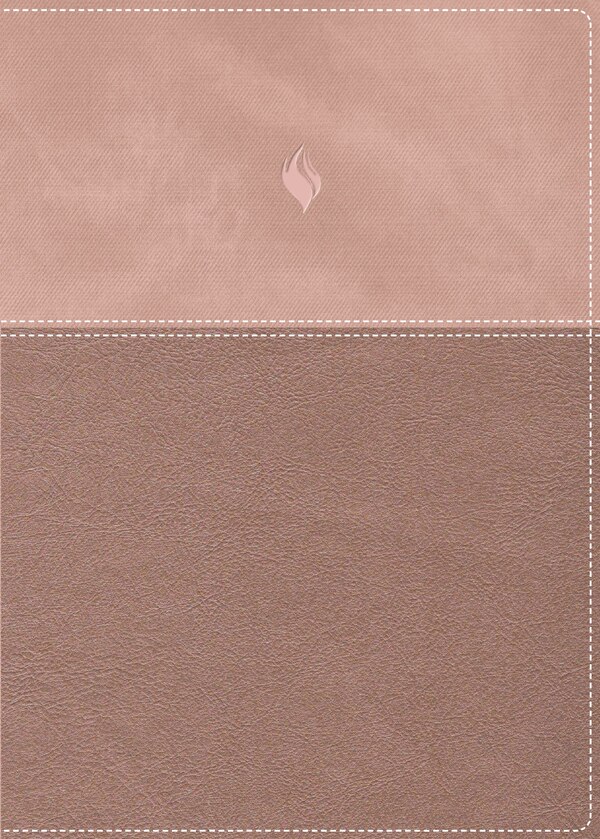 RVR60 Biblia de estudio de la vida plena Edición clásica Leathersoft dos tonos Oro rosa Palabras de Jesús en rojo Comfort Print | Indigo Chapters