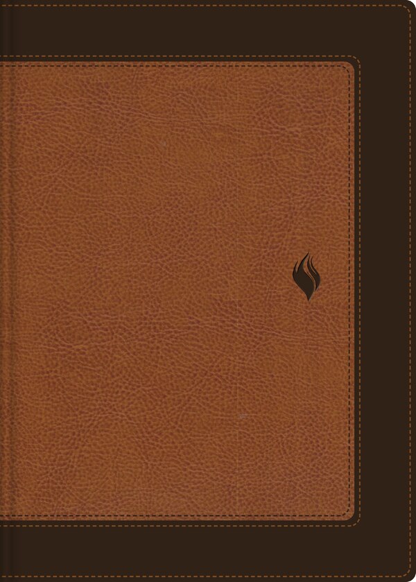 RVR60 Biblia de estudio de la vida plena Edición clásica Leathersoft dos tonos Café Palabras de Jesús en rojo Comfort Print | Indigo Chapters
