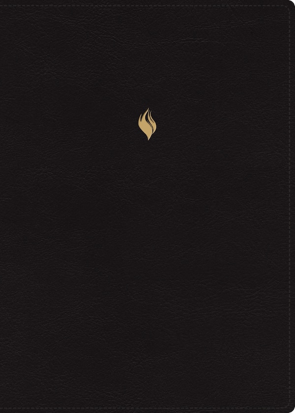 Rvr60 Biblia de Estudio de la Vida Plena Edición Clásica Leathersoft Negro Palabras de Jesús En Rojo Comfort Print Con Índice Y | Indigo Chapters