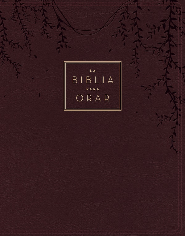 RVR60 La Biblia para orar Leathersoft Rojo vino Palabras de Jesús en rojo Comfort Print by RVR 1960- Reina Valera 1960, Leather/Fine Binding