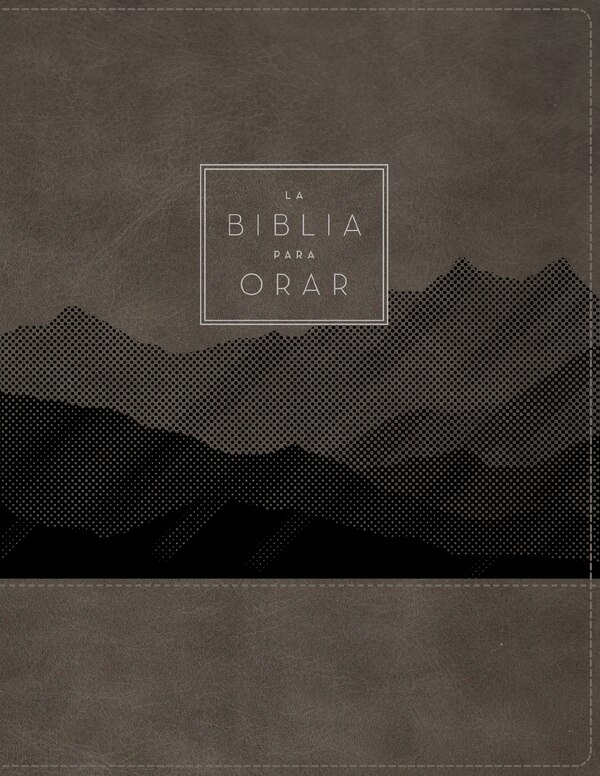 RVR60 La Biblia para orar Leathersoft Gris Palabras de Jesús en rojo Comfort Print by RVR 1960- Reina Valera 1960, Leather/Fine Binding