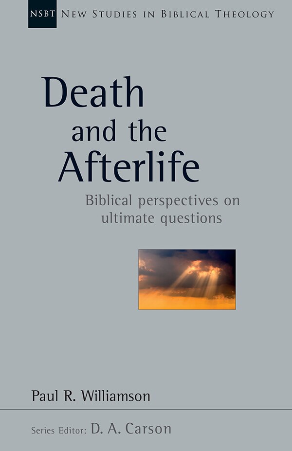 Death and the Afterlife by Paul R. Williamson, Paperback | Indigo Chapters