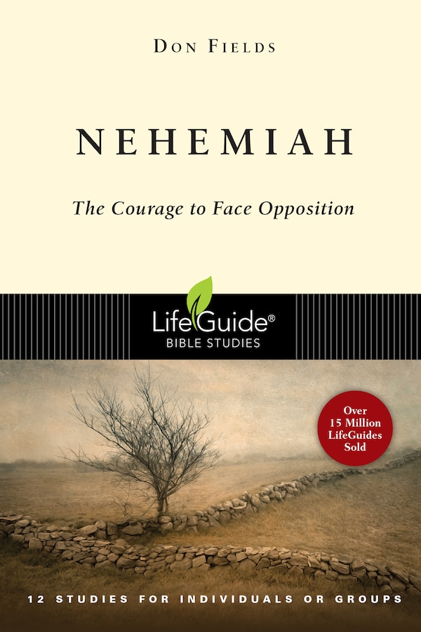 Nehemiah by Don A. Fields, Paperback | Indigo Chapters