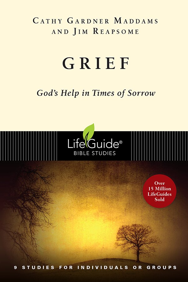 GRIEF by Cathy Gardner Maddams, Paperback | Indigo Chapters