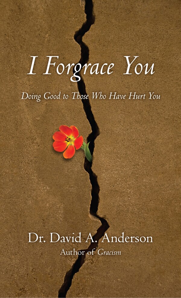 I Forgrace You by David A Anderson, Paperback | Indigo Chapters