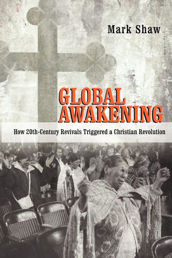 Global Awakening by Mark Shaw, Paperback | Indigo Chapters