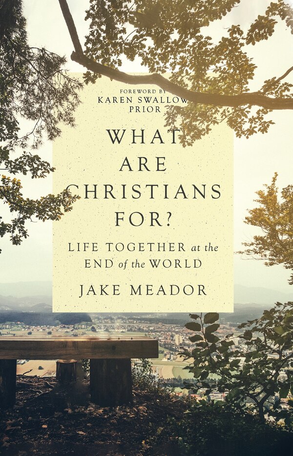 What Are Christians For? by Jake Meador, Hardcover | Indigo Chapters