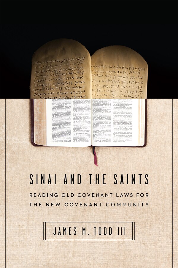 SINAI AND THE SAINTS by James M Todd III, Paperback | Indigo Chapters