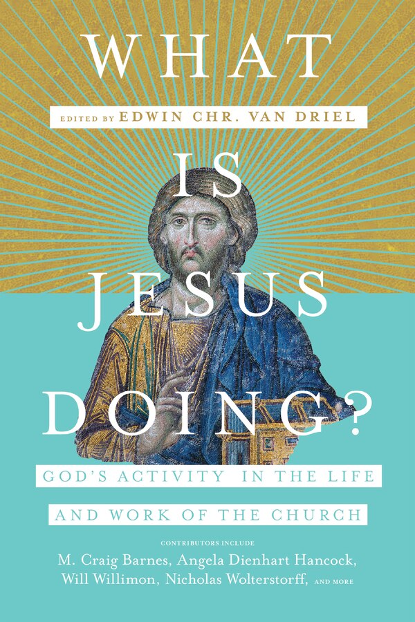 What Is Jesus Doing? by Edwin Chr. Van Driel, Paperback | Indigo Chapters