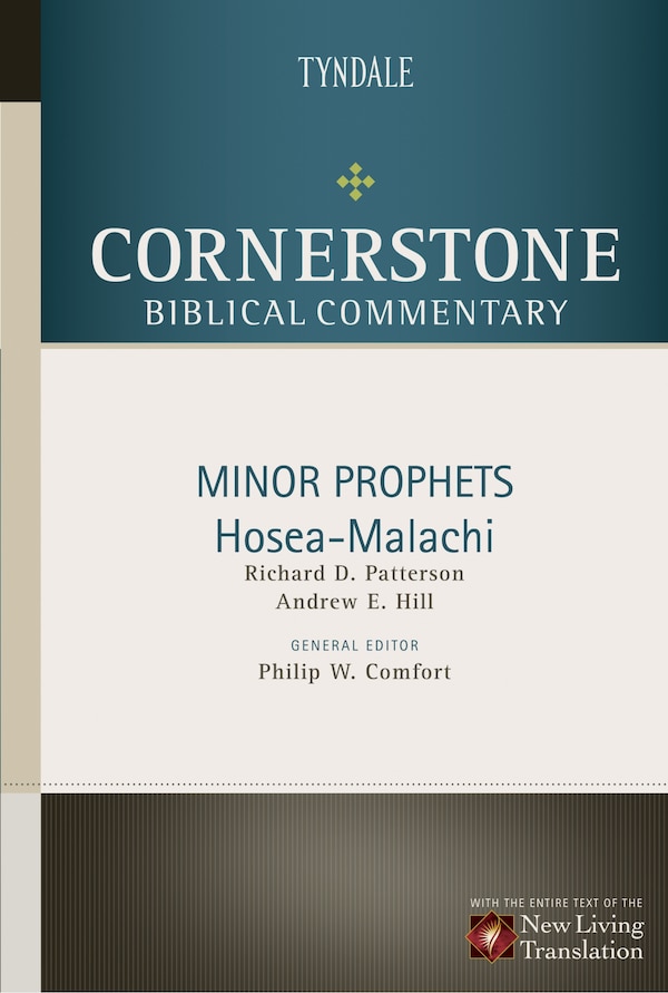 Minor Prophets: Hosea through Malachi by Andrew Hill, Hardcover | Indigo Chapters