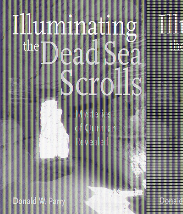 Illuminating the Dead Sea Scrolls by Donald W Parry, Paperback | Indigo Chapters