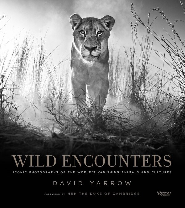 Wild Encounters by David Yarrow, Hardcover | Indigo Chapters