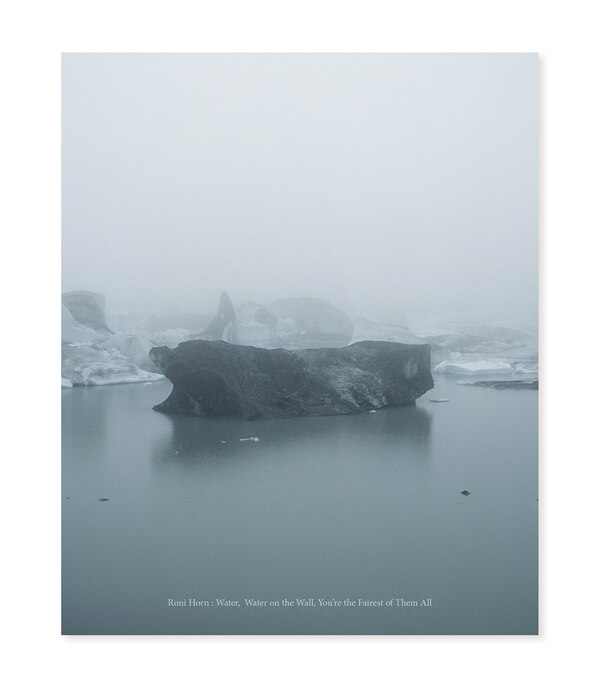 Roni Horn by Nora Burnett Abrams, Hardcover | Indigo Chapters