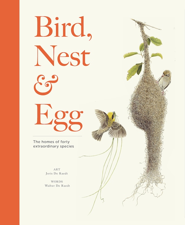Bird Nest & Egg by Walter De Raedt, Hardcover | Indigo Chapters