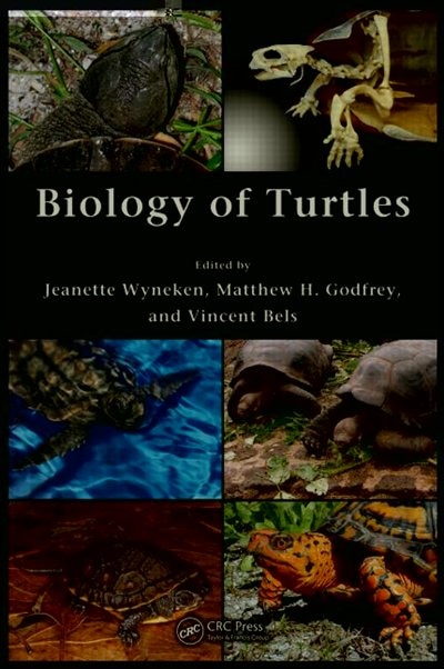 Biology of Turtles by Jeanette Wyneken, Hardcover | Indigo Chapters