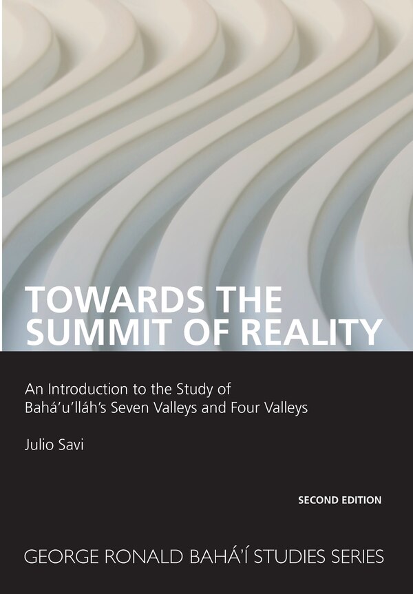 Towards the Summit of Reality by Julio Savi, Paperback | Indigo Chapters