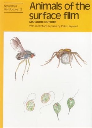 Animals Of The Surface Film by Marjorie Guthrie, Paperback | Indigo Chapters