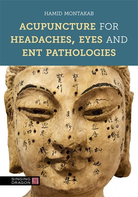 Acupuncture for Headaches Eyes and ENT Pathologies by Hamid Montakab, Hardcover | Indigo Chapters