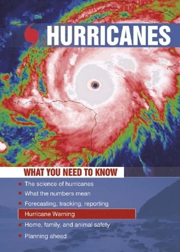 Hurricanes by Rebecca Leaman, Paperback | Indigo Chapters