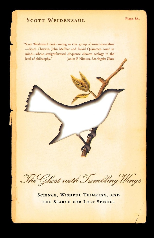 The Ghost with Trembling Wings by Scott Weidensaul, Paperback | Indigo Chapters