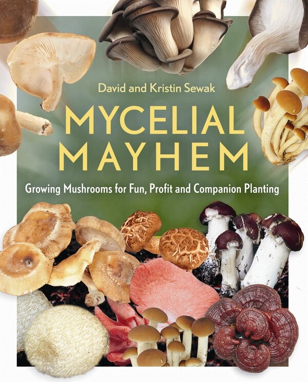 Mycelial Mayhem by David Sewak, Perfect | Indigo Chapters