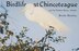 Birdlife at Chincoteague and the Virginia Barrier Islands by Brooke Meanley, Paperback | Indigo Chapters