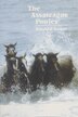 The Assateague Ponies by Ronald R Keiper, Paperback | Indigo Chapters