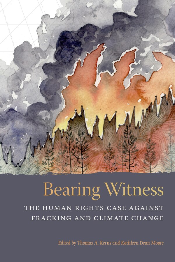 Bearing Witness by Thomas A. Kerns, Paperback | Indigo Chapters