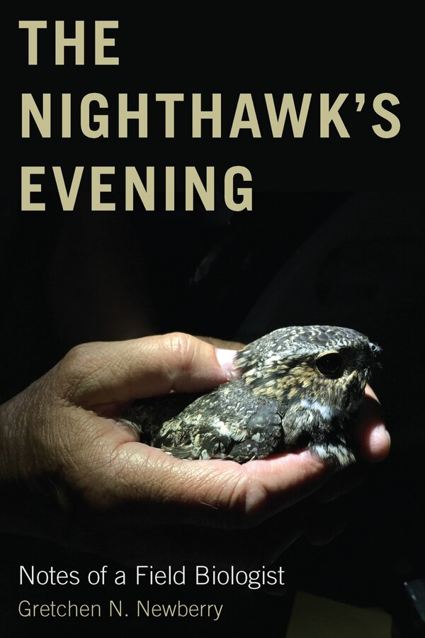 The Nighthawk's Evening by Gretchen N. Newberry, Paperback | Indigo Chapters