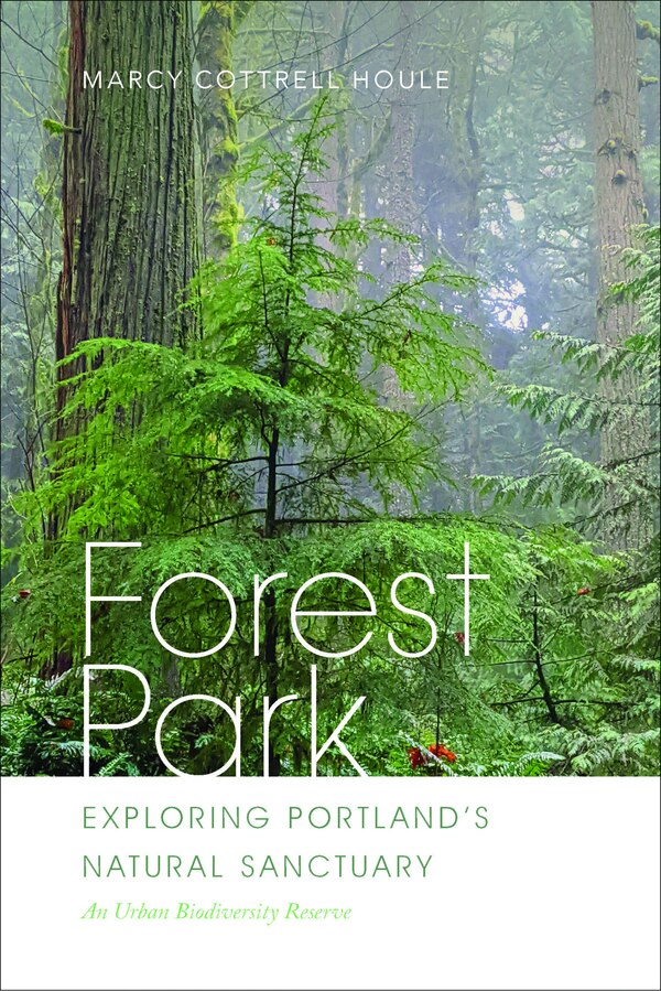 Forest Park by Marcy Cottrell Houle, Paperback | Indigo Chapters