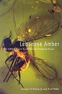 Lebanese Amber by George Poinar Jr., Paperback | Indigo Chapters