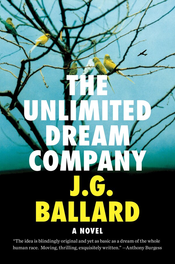 The Unlimited Dream Company by J G Ballard, Paperback | Indigo Chapters